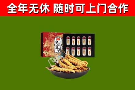 晋城回收冬虫夏草价格